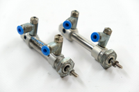 Festo DSNU-10-10-P-A (19183) Satz mit 2 Normzylinder