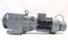 Bauer BG40Z-37/DW09XA12-TOF-S/E008B5 Silnik z przekładnią Gear Motor